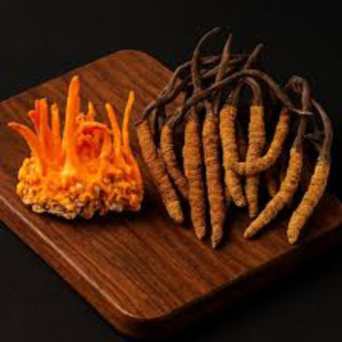 Đông trùng hạ thảo ngâm với sâm có tác dụng gì?